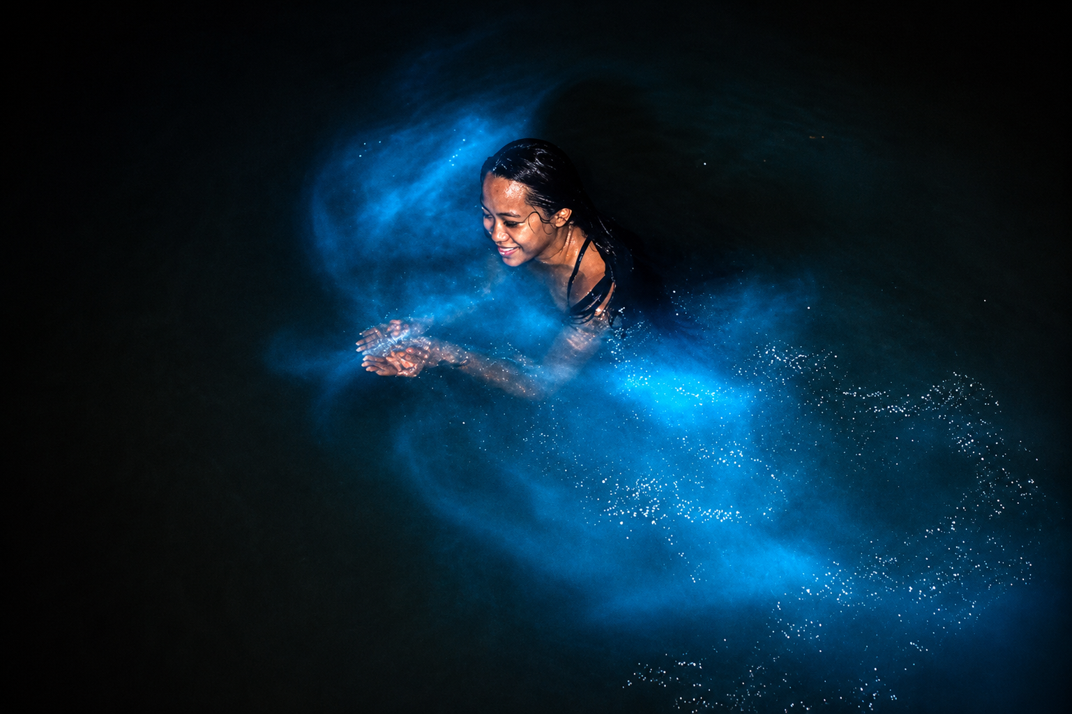 Bioluminescent Night Tour